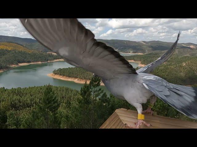 [ 4K AERIAL ] - 100 DESTINO - PORTUGAL - RIO ZEZERE