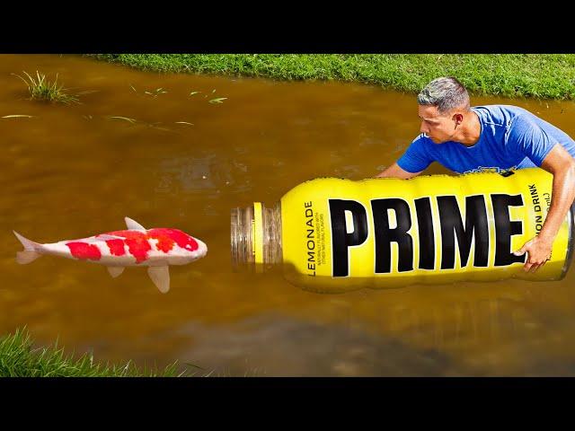 PRIME BOTTLE CATCHES RARE FISH