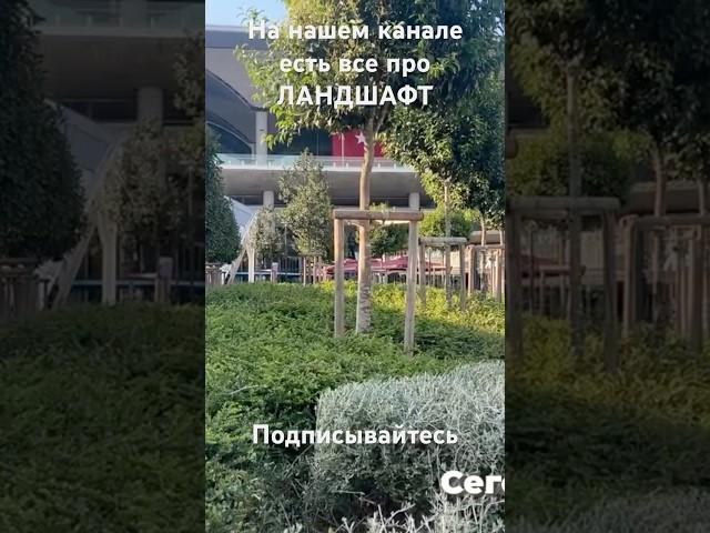 Ландшафтный дизайн и архитектура #ландшафт #сады #архитектура #искусство #проектсада #цветы #сад