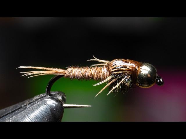 Bead Head Pheasant Tail - General Purpose