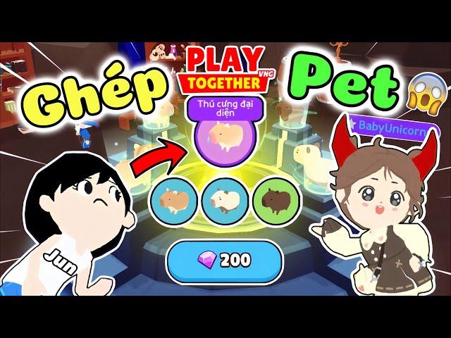 Play Together | Mình Đã Thử Thách Nâng Cấp Cùng Uni Ghép Chuột Capybara