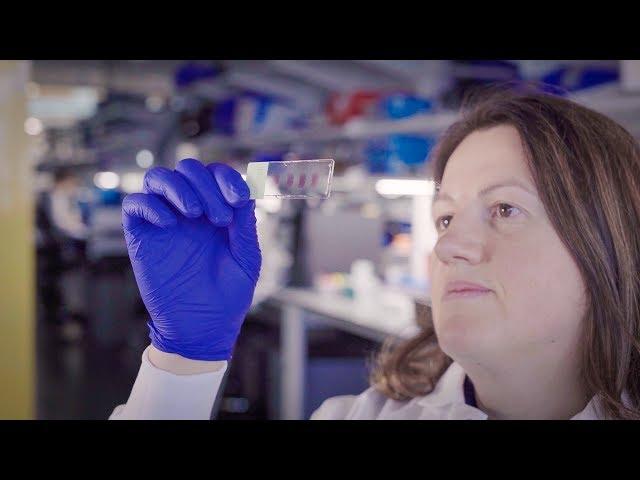 Allen Institute for Immunology | Meet our partners