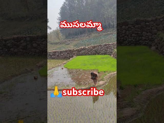 This is the story of the Maya mantra recited by the mantra|#powerful #oldwoman#mantras#viralvideo|