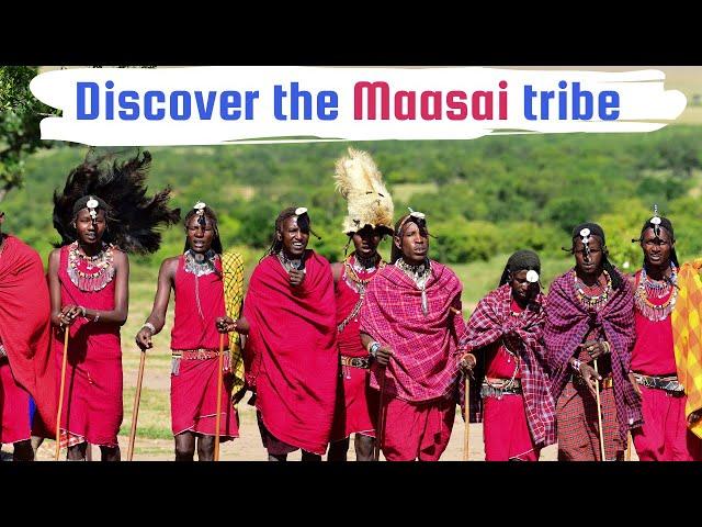 African Safari|African people|Maasai tribe| Maasai Village|Animals and birds in Africa