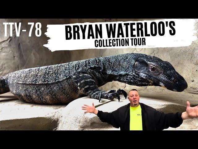 Bryan Waterloo's Reptile Collection Tour | TTV-77