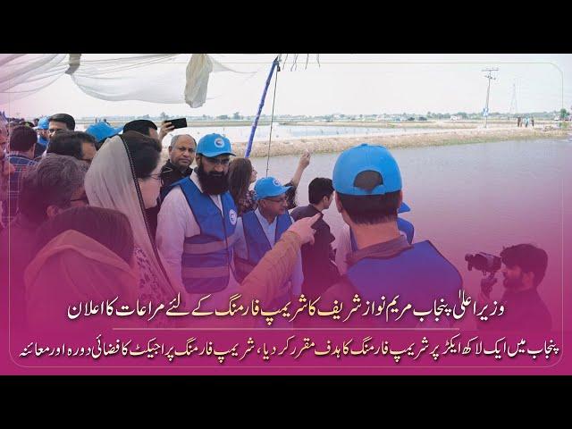 The largest pilot project of shrimp farming in the history of Pakistan