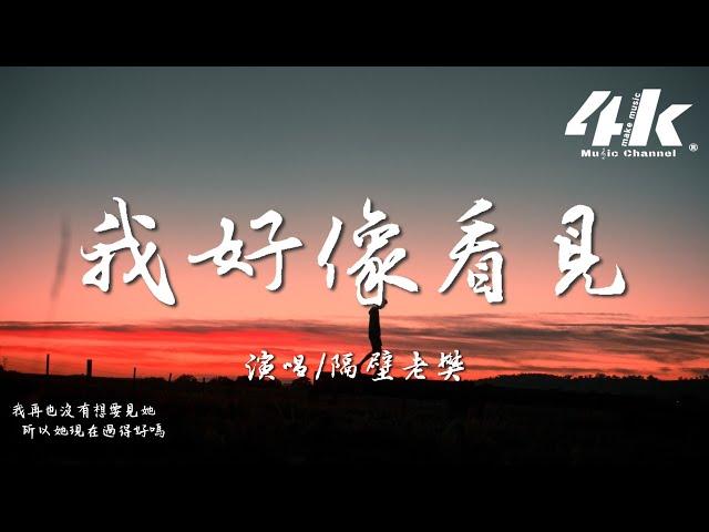 隔壁老樊 - 我好像看見『我好像看見 自己泛紅的雙眼，一個人的感覺好久都沒出現。』【高音質|動態歌詞Lyrics】