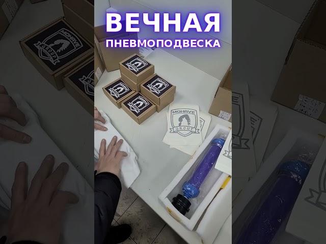 ВЕЧНАЯ пневмоподвеска  #Shorts #топ #тренды