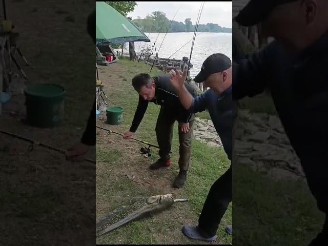 Catfish fishing with live bait