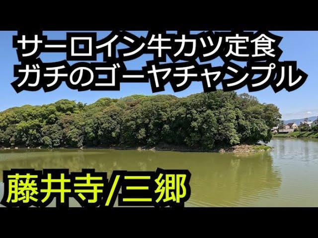 サーロイン牛カツのランチ ゴーヤチャンプル 葛井寺の藤棚【大阪奈良藤井寺市三郷町】