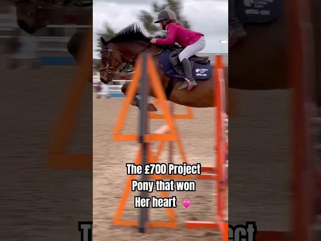 That special pony that won your heart #horse #equestrian #showjumping #horselover #pony #horseriding