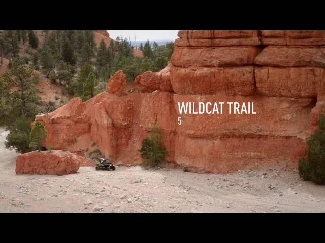 Arctic Cat 2017 Wildcat Sport and Trail SXS Experience