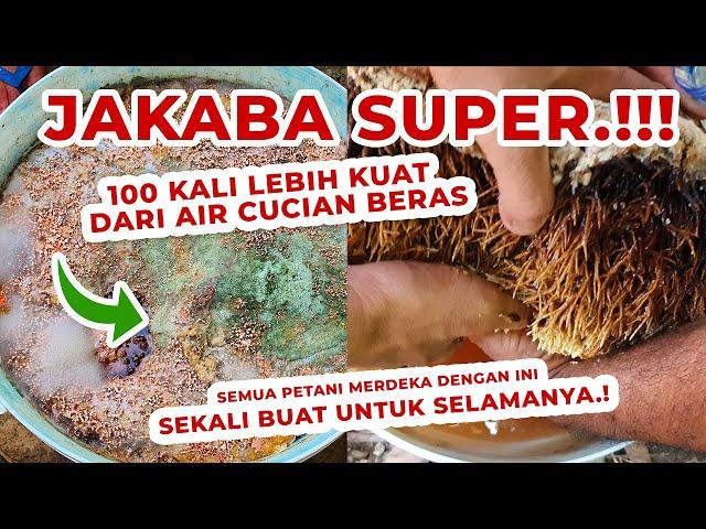 Pupuk Organik Cair ini 100 Kali Lebih Kuat Dari Air Cucian Beras / Leri - JAKABA SUPER