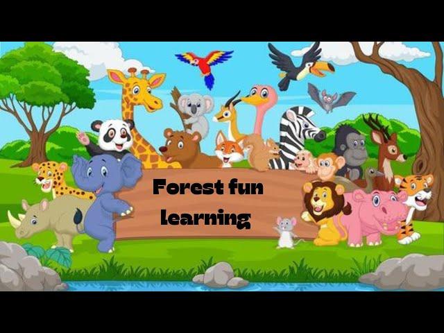 Forest Fun Learning: Discover Animals & Nature for Kids | 2024