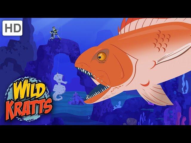 Wild Kratts | Seahorse Rodeo | Full Episode | Season 2