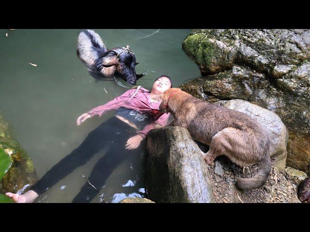 A dog and a goat help a Vietnamese girl in trouble - ha thi muon
