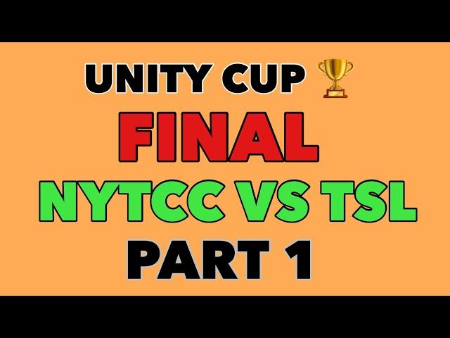 Unity Cup 2022 Final Match. NYTCC VS TSL. 1st Inning’s NYTCC BATTING . 7-3-2022