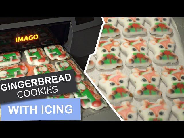 How to decorate gingerbread cookies with icing? ️