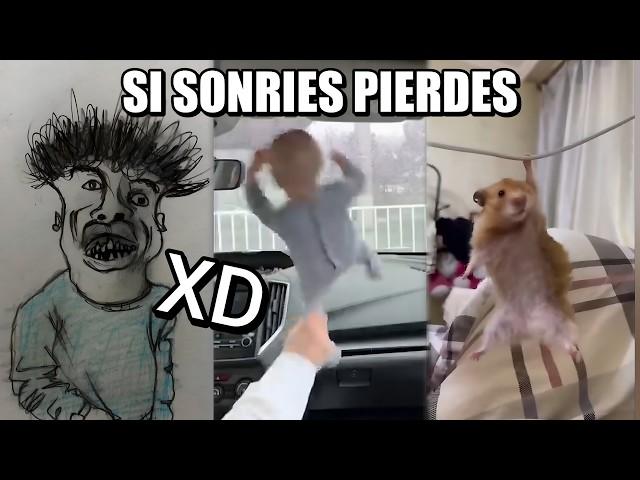 Los Mejores VIDEOS RANDOM #58 (RECOPILACIÓN) Si Te Ries Pierdes, Videos De Risa, Funny Memes