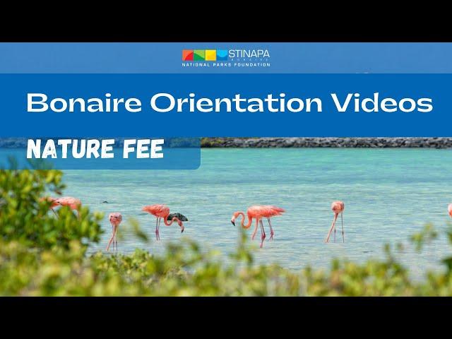 Orientation Video - Nature Fee