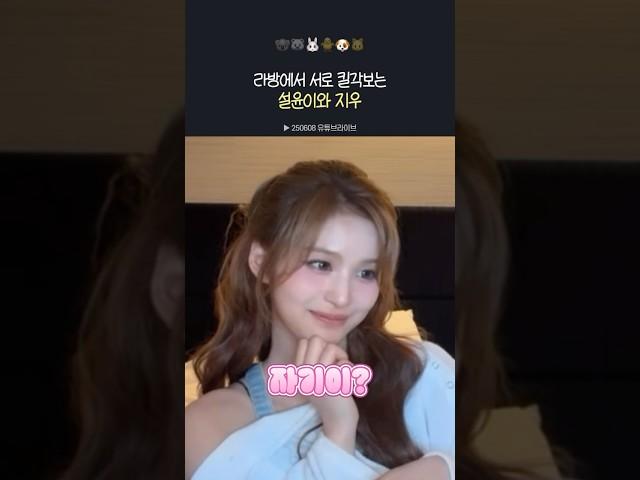 [엔믹스] 서로 킬각보는 설윤이와 지우 ㅋㅋㅋ