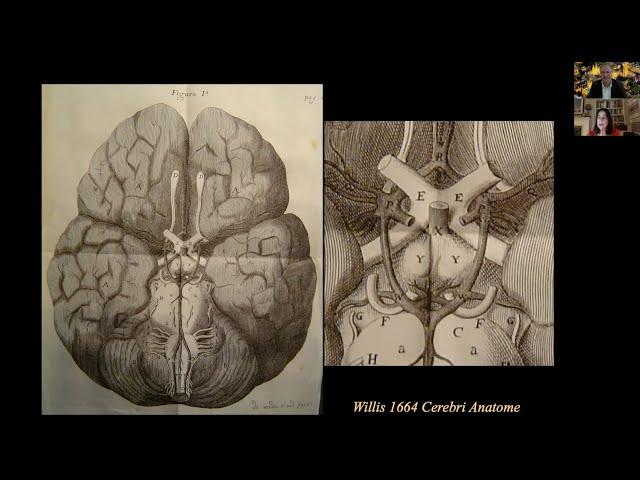 Thomas Willis conversations: The circle of Willis