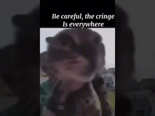 Saved you from cringe :3