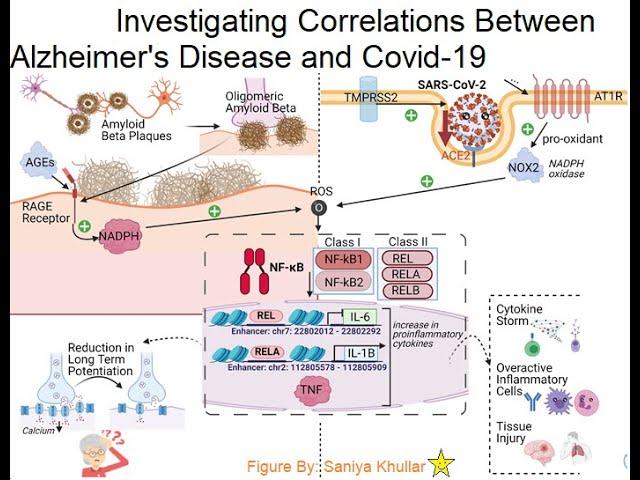 Correlation Between Covid-19 and Alzheimer's Disease