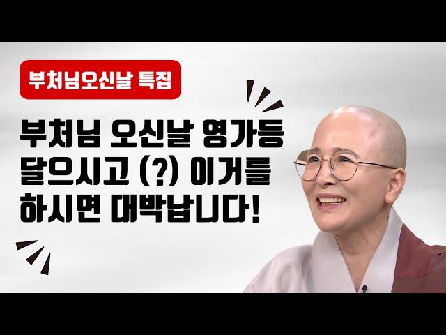 부처님 오신날 영가등 달으시고 이거를 하시면 대박납니다.#생활#법문[보현스님TV ]