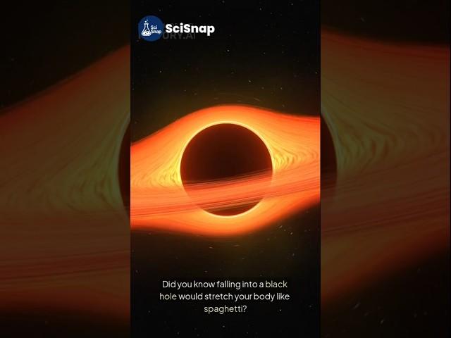 What Happens If You Fall Into a Black Hole?