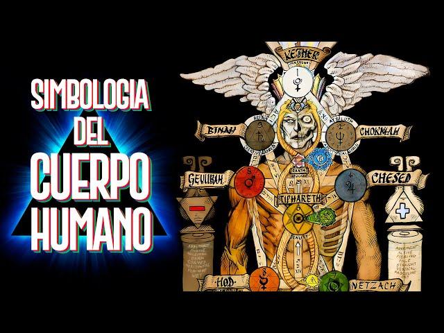 Simbología del Cuerpo Humano