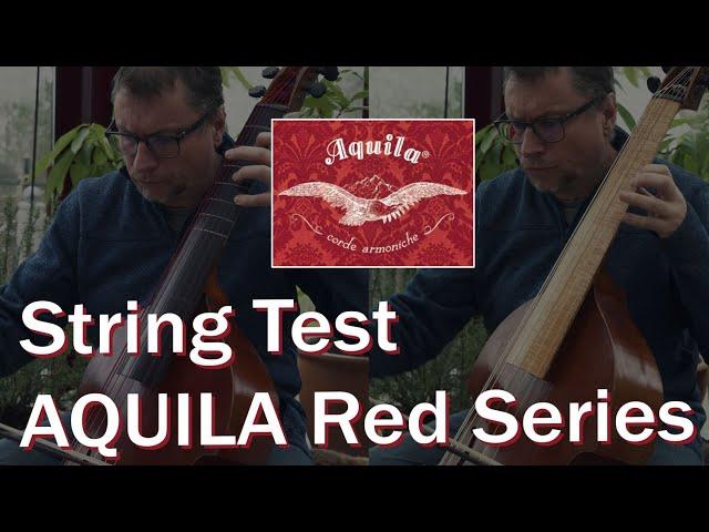 F-RED SERIES from AQUILA vs REAL GUT STRINGS