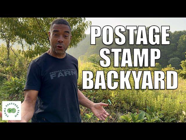 Tour of a Small Backyard Food Forest