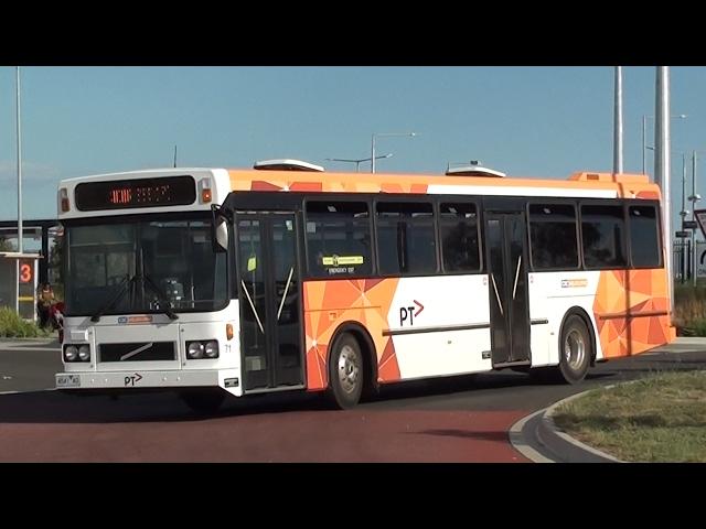 Buses at Tarneit - Melbourne Transport