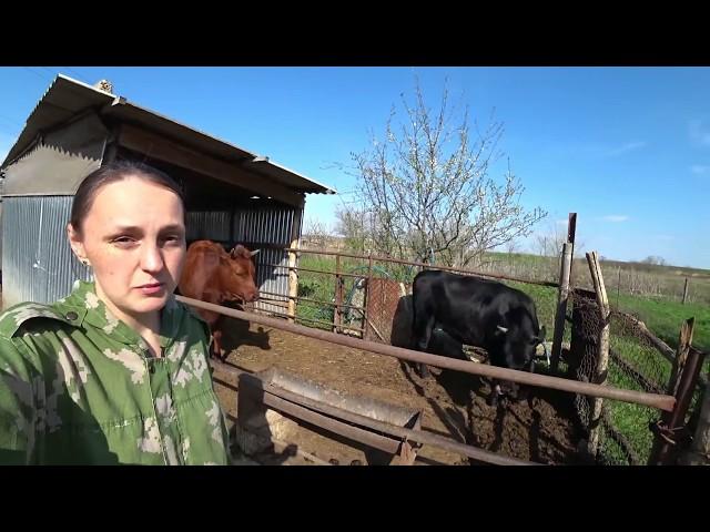 Кухню не доделал... ПОРА ДОМОЙ К СЕМЬЕ. Последние новости / Семья в деревне