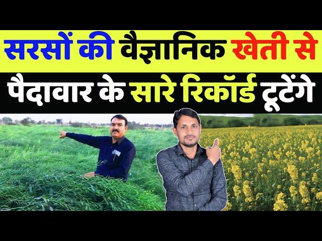 2024 में सरसों की वैज्ञानिक खेती कब और कैसे करें | sarso ki kheti kaise kare | sarson ki kheti