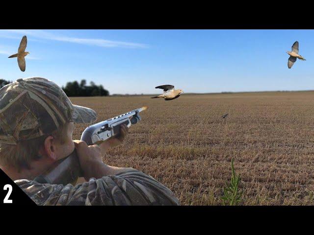 This Field Was LOADED with DOVES! | 28 GAUGE Dove Hunting