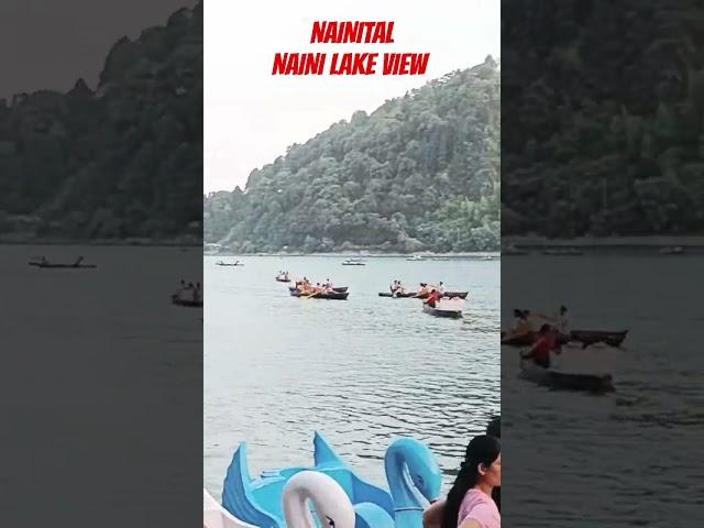 Naini Lake 13-June-2024, nanital now, nainital weather now. #love #song #lyrics #nainital #nainilake