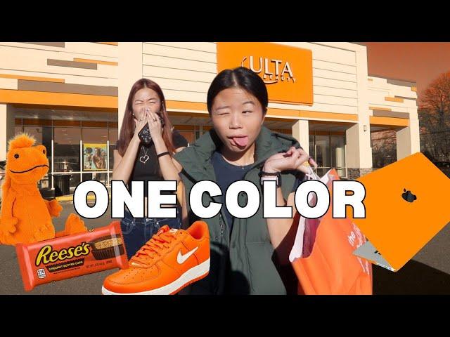 BUYING Everything in ONE COLOR for my SISTER *NO BUDGET *