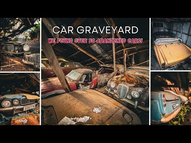 We found over 50+ ABANDONED CARS! HIDDEN in the FOREST