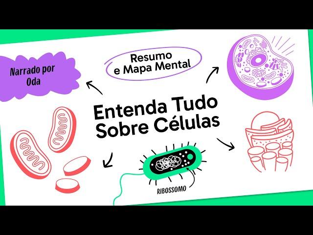 CITOLOGIA | BIOLOGIA | QUER QUE DESENHE?