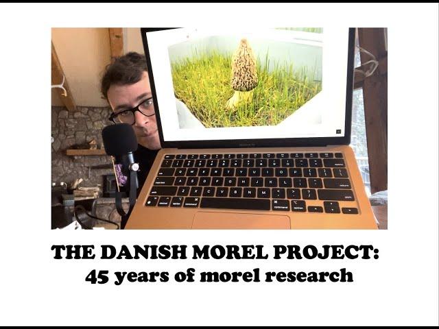 The Danish Morel Project: 45 years of Morchella Cultivation Research in Denmark