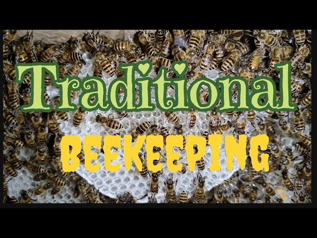 Sullai Honey Coming In | Traditional Hive Inspection