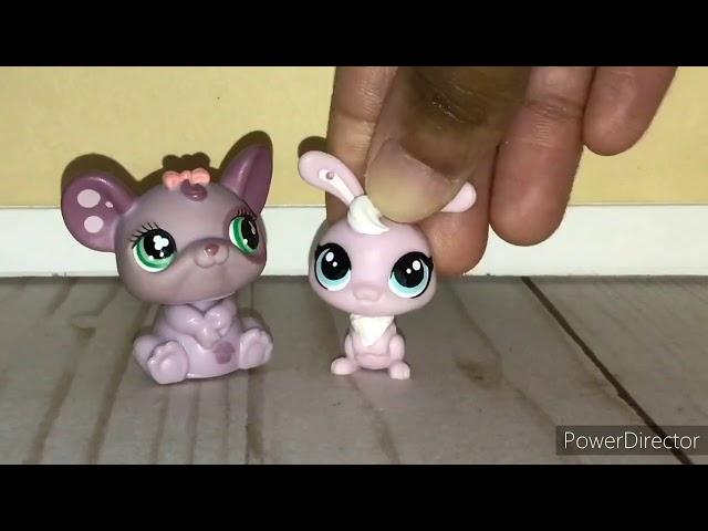 LPS Princess.Toy.Nerd Vlog Update #9: Where’s the Other Videos?