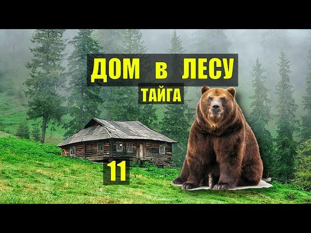 МЕДВЕДЬ ХОДИТ ВОКРУГ в ТАЙГЕ ДОМ в ЛЕСУ ОХОТА КНИГИ ЖИВОТНЫЕ ИСТОРИИ из ЖИЗНИ АУДИОКНИГА СЕРИАЛ 11