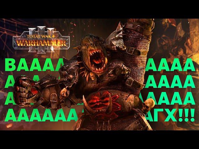 Зеленокожие. Механики и юниты Total War Warhammer 3