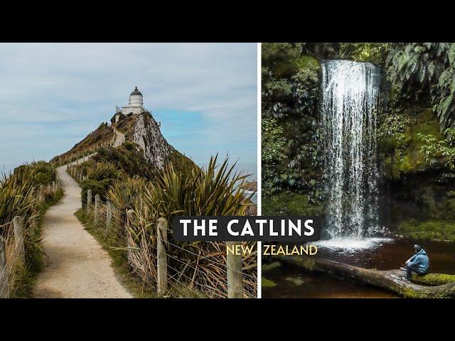 The Catlins National Park | Hiking New Zealand | Road Trip