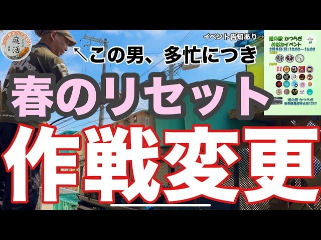 （メダカ）春のリセット作戦変更（イベント告知あり）