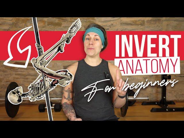 Which muscles do we use? Full nerdy breakdown of the pole invert (for beginners)