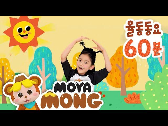 60분 연속재생｜영어 율동｜인기동요｜전신율동｜영어동요